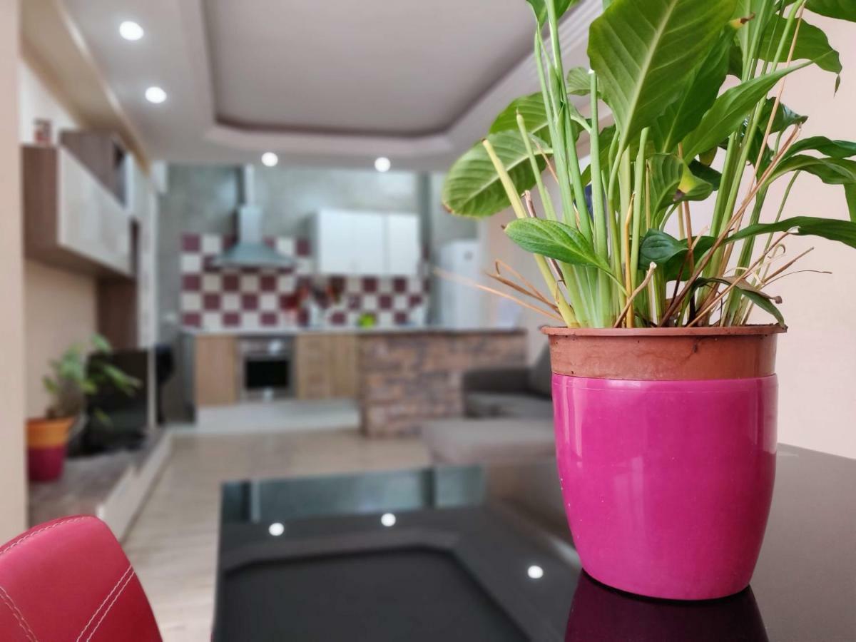 Вілла Cactus Los Cristianos Лос-Крістіанос Екстер'єр фото